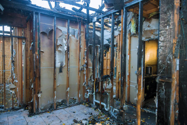 Professional Fire Damage Removal technician working in Syracuse, NE